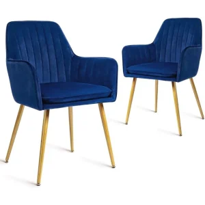 Modern Living Dining Room Accent Arm Chairs